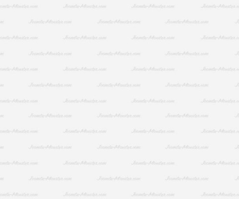 picjumbo.com_IMG_4896